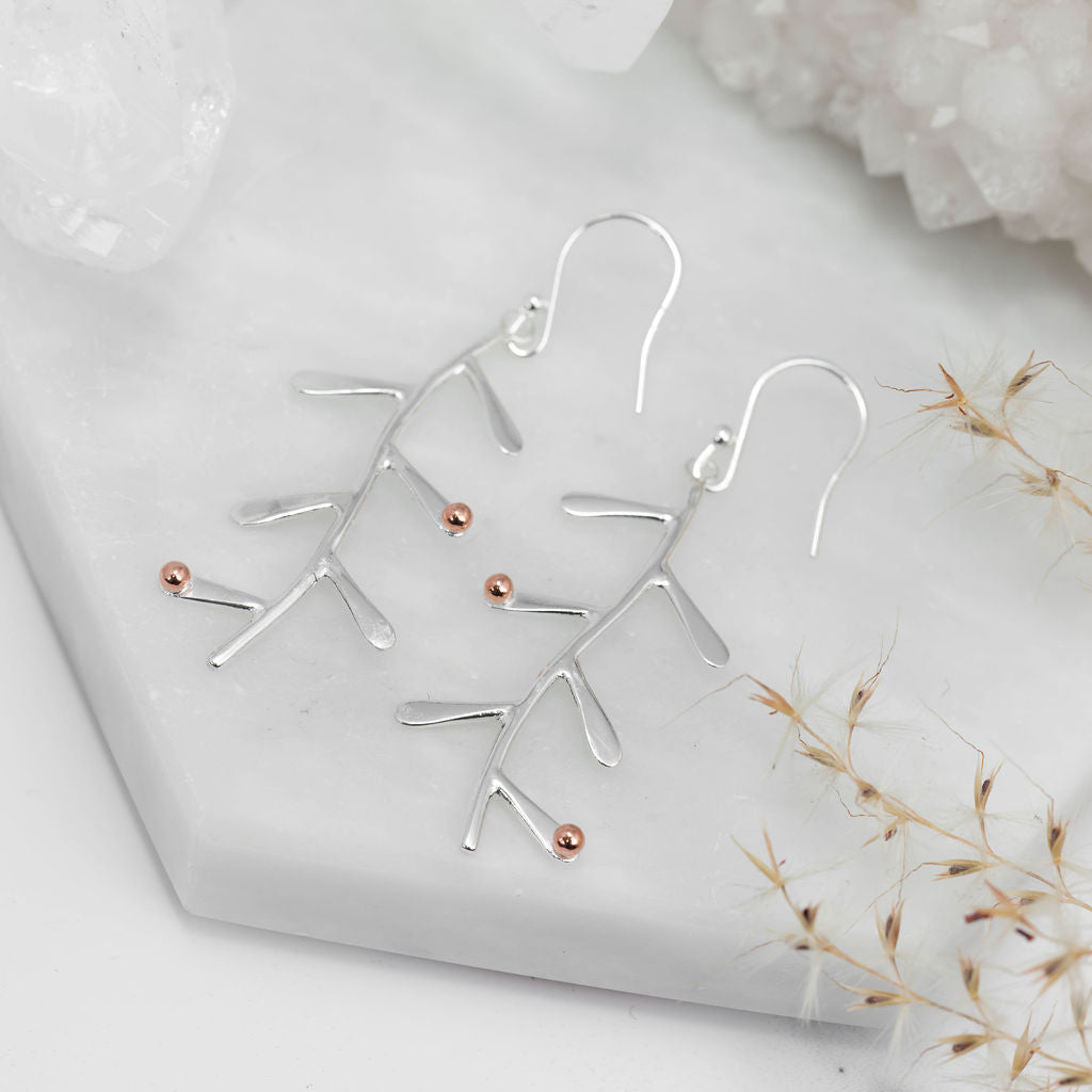 Clustdlysau Rhedyn Hir