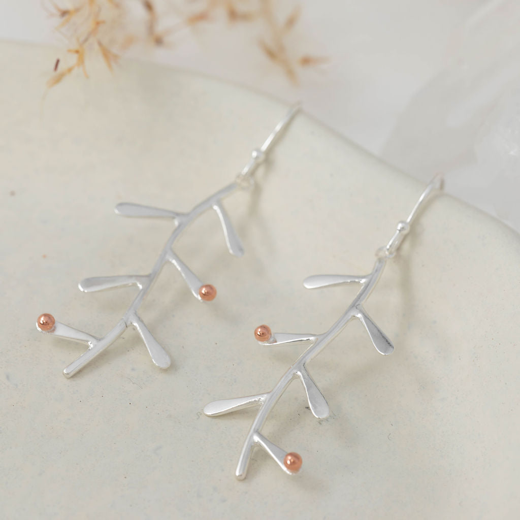 Clustdlysau Rhedyn Hir